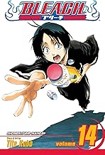 Bleach, Vol. 14