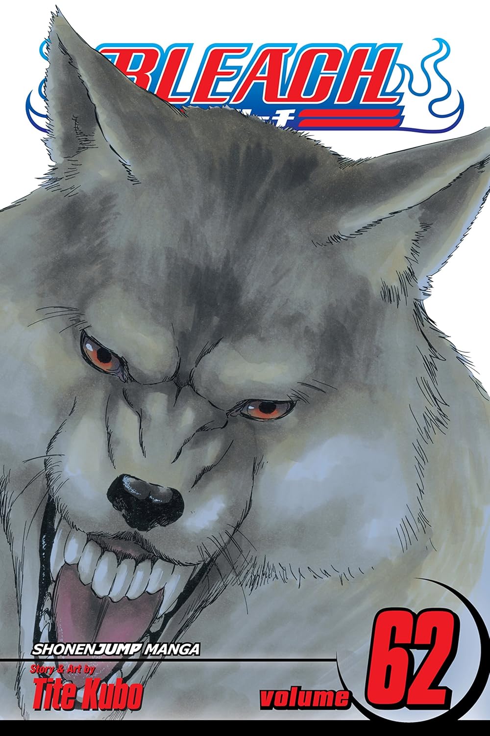 Bleach, Vol. 62: Beauty Is So Solitary