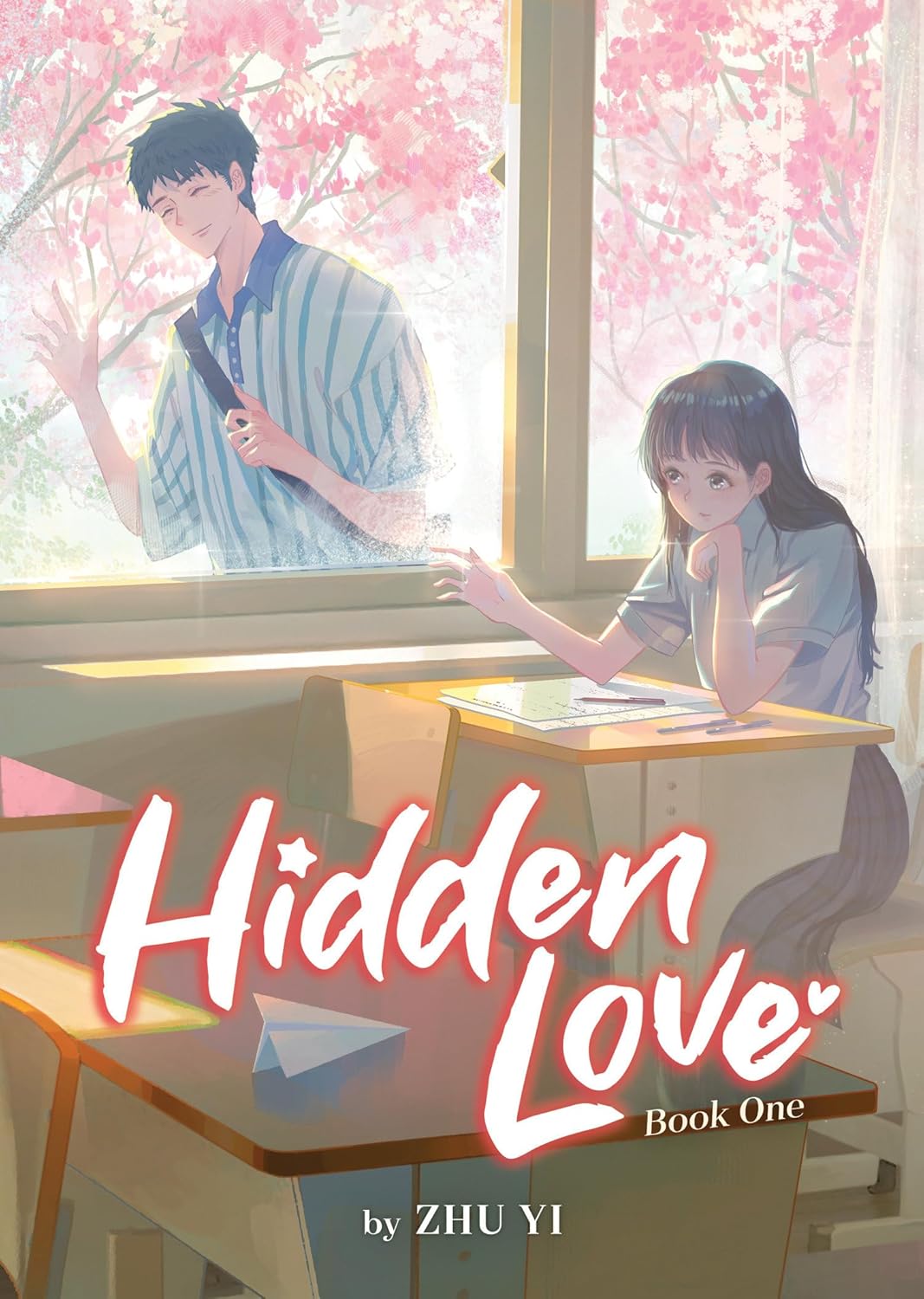 Hidden Love (Novel)